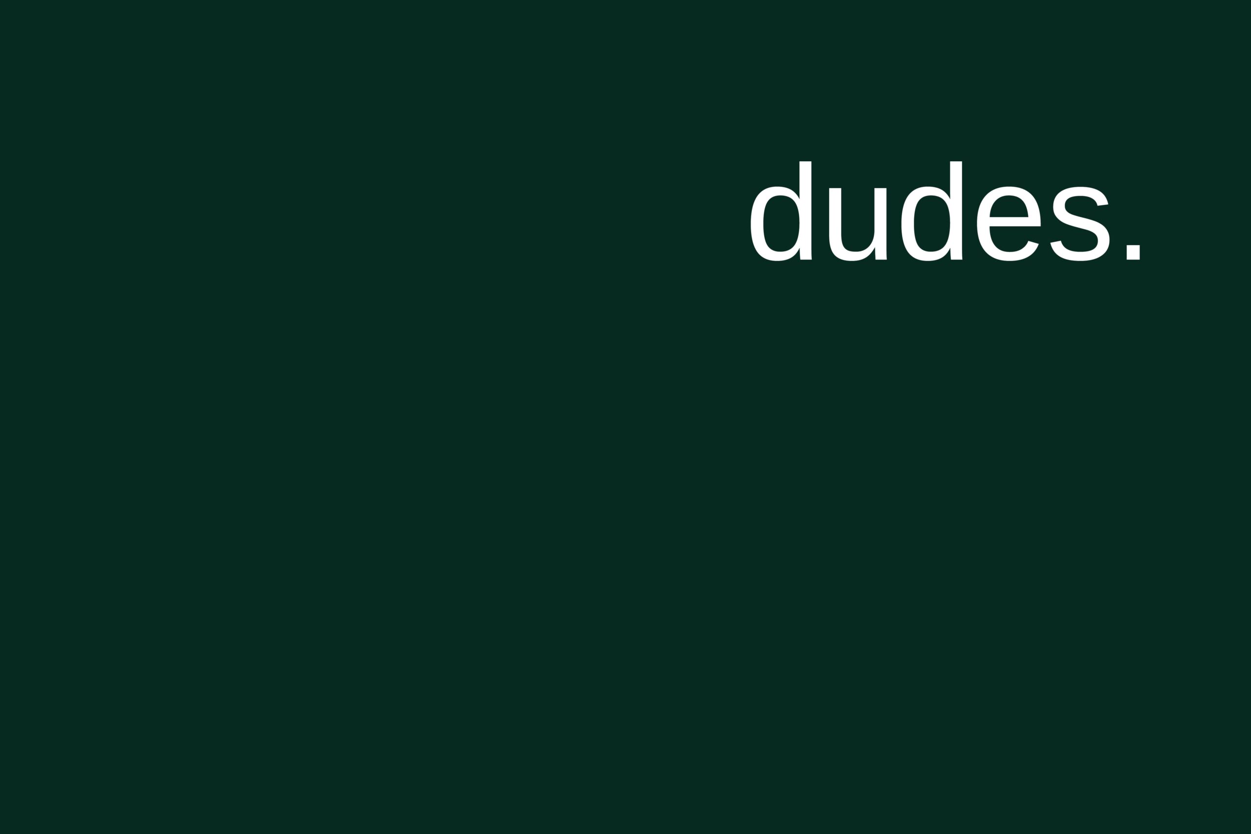 Wechselpilot X dudes.
