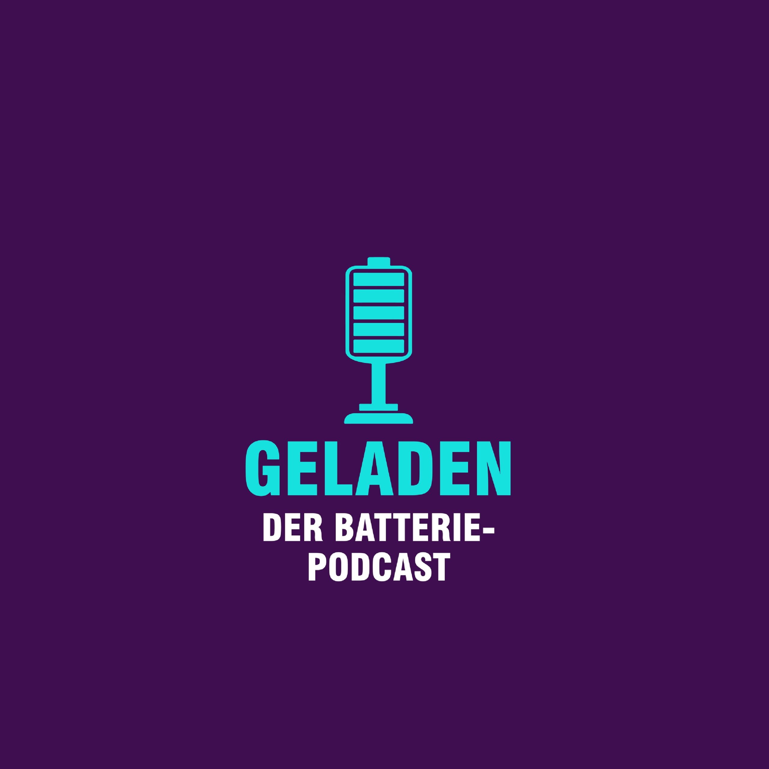 Wechselpilot X Geladen