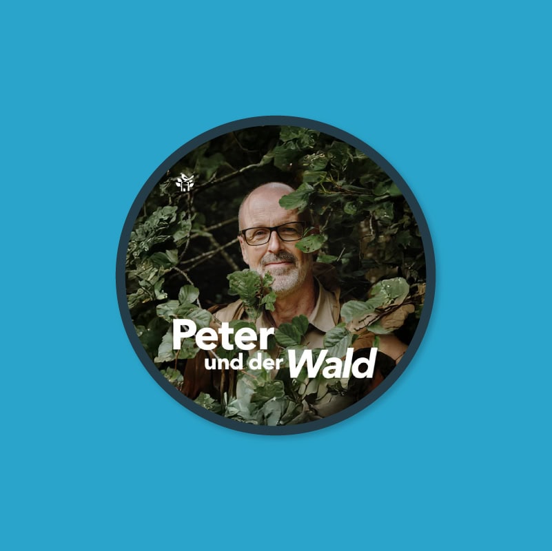 Wechselpilot X Peter und der Wald - 20€ Cashback sichern!