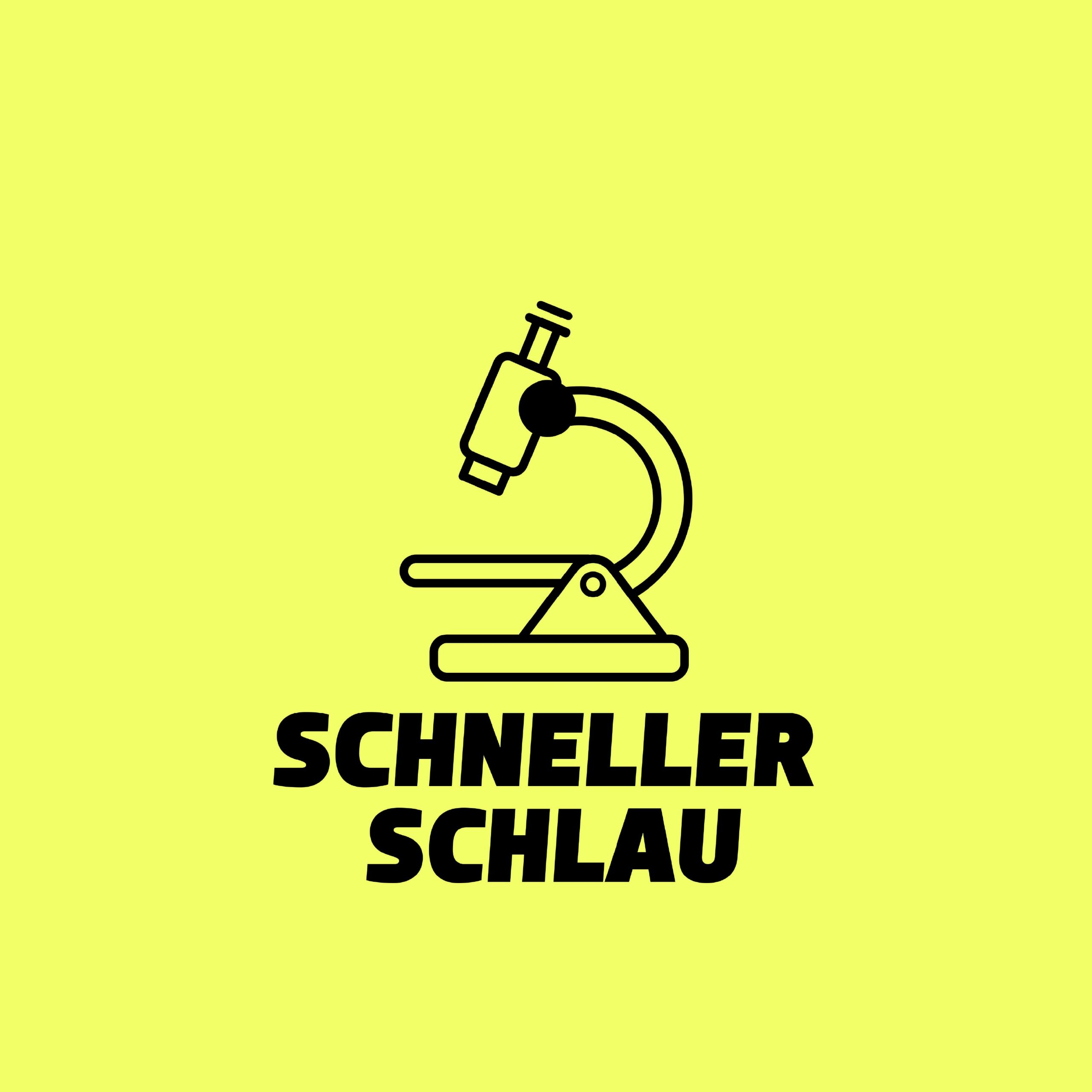Wechselpilot X Schneller Schlau
