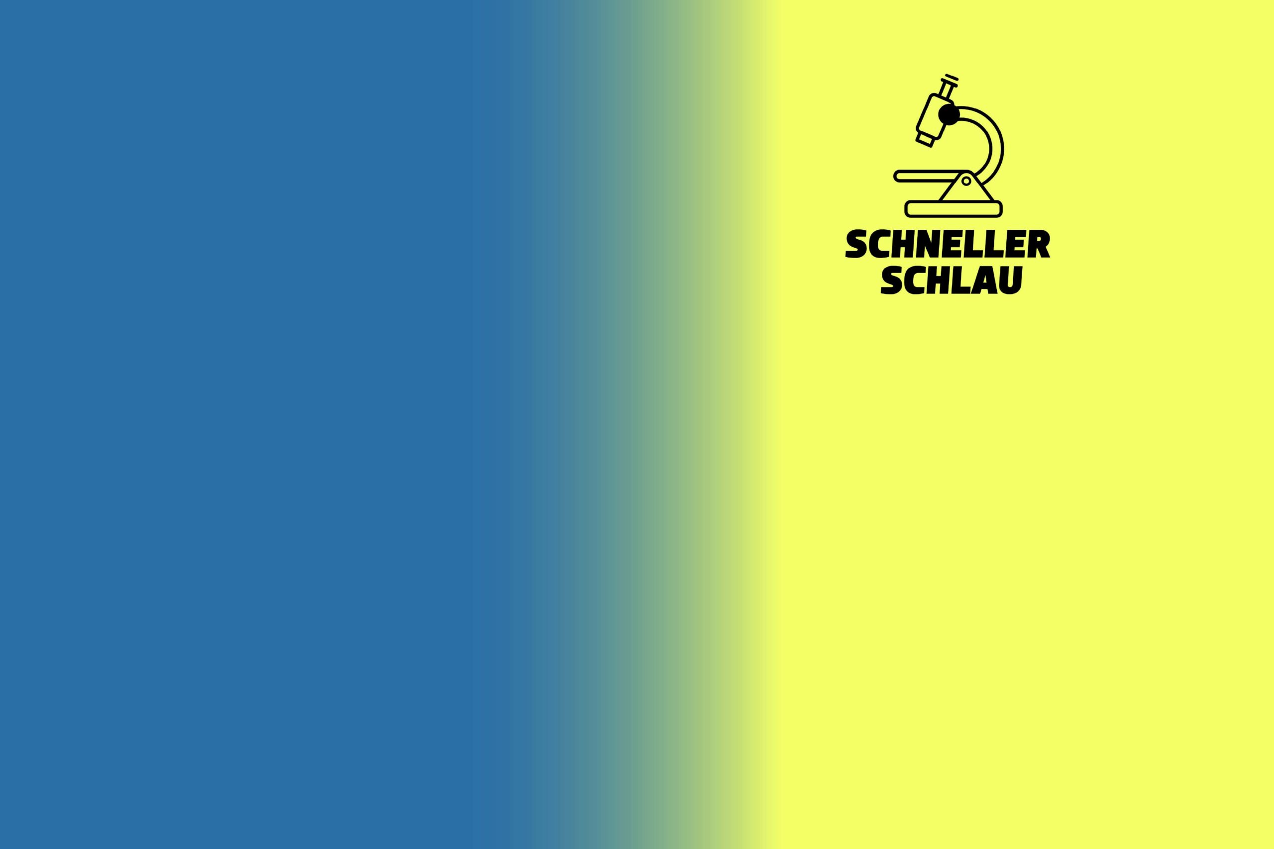 Wechselpilot X Schneller Schlau