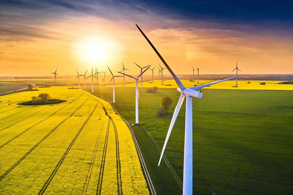 4 Tipps, mit denen Sie schon heute erneuerbare Energien fördern können