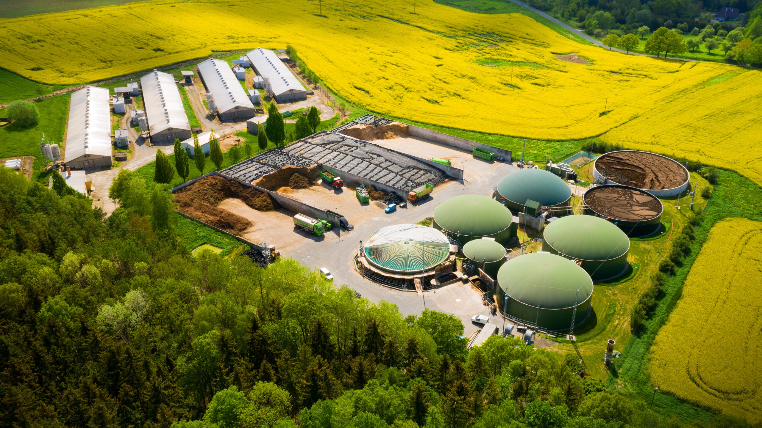 Biogas